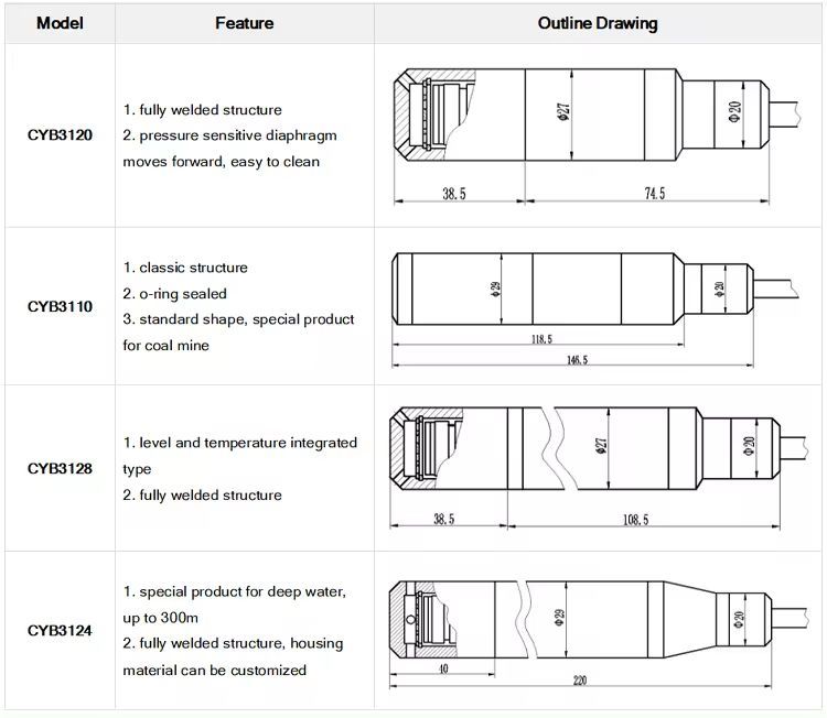 Industrial Hydrostatic Level Sensor CYB3120 4-20mA