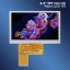 4.3" TFT IPS Displej 800x480 40pin - Svítivost: 500 nits