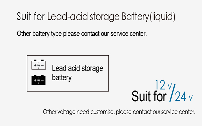Digital Indicator of Lead Battery Status RL-BI005