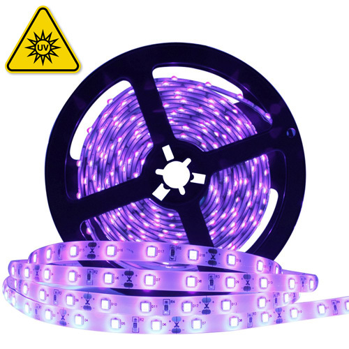UV LED Strip 2835 SMD, 60LEDs/m, 12V, IP20, 5m