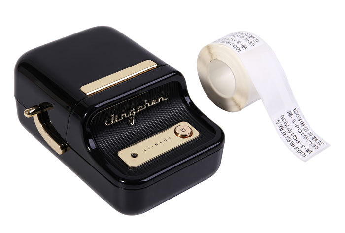 Niimbot B21 - Wireless Label Thermal Printer