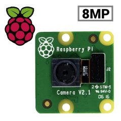 Raspberry Pi 8MP Camera Module V2.1 - HD Video and Photography