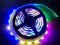 RGB LED Strip SMD 5050 - 5m, 60 LEDs/m, 24V, 12W