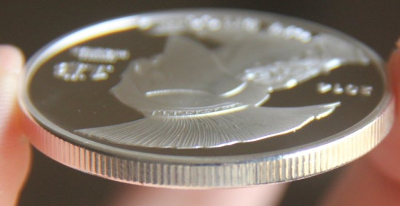 Stříbrná mince Bitcoin TITAN 40mm
