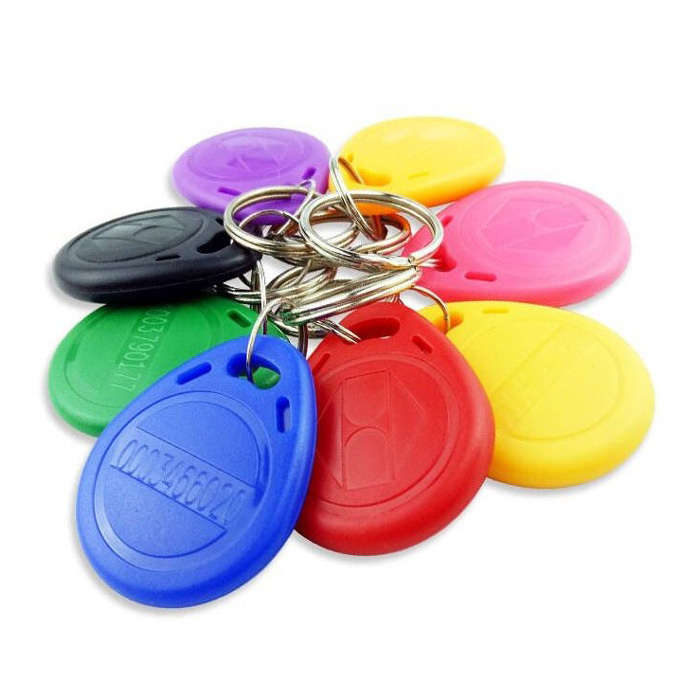 TK4100 125KHz RFID Non-rewritable Keychain