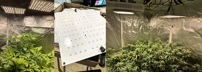 VP240 240W LED Quantum Panel pro Pěstování Rostlin