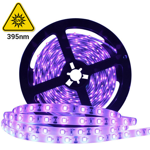 UV LED pásek 2835 SMD, 60LEDs/m, 12V, IP20, 5m