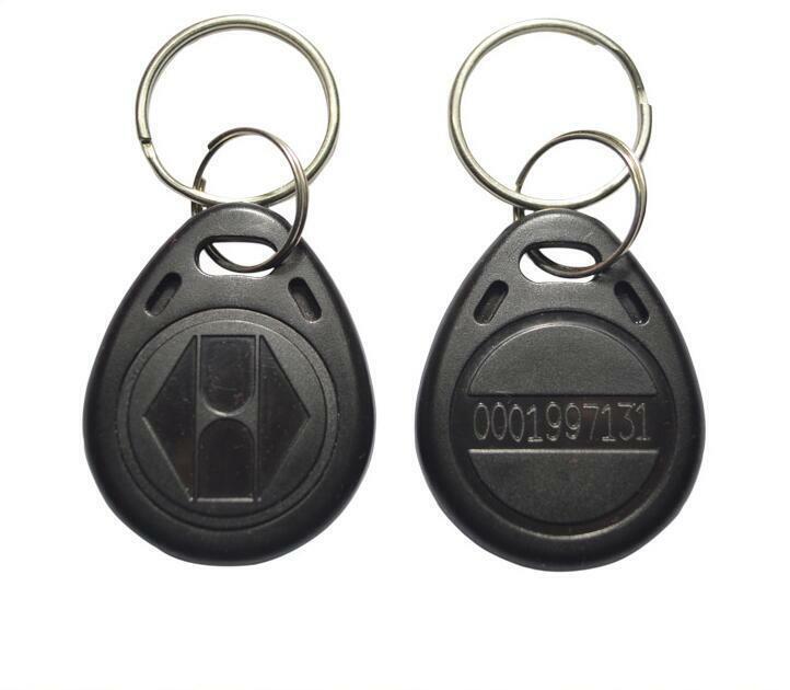 TK4100 125KHz RFID Non-rewritable Keychain