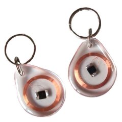 Mifare S50 13.56MHz RFID Non-rewritable UID Chip Keychain - Transparent