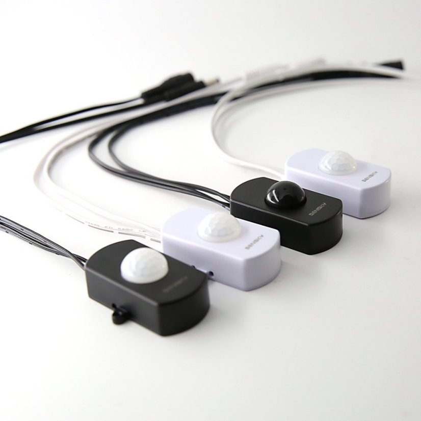 BS010 Infrared Motion Sensor 12V