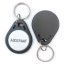 Mifare S50 13.56MHz RFID Non-rewritable Keychain - grey