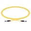 Optical Patch Cable 0.3 mm - 1 m