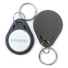 TK4100 125KHz RFID Non-rewritable Keychain - grey