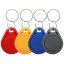 NTAG213 NFC Keychain - Contactless Access Device