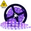 UV LED Strip 2835 SMD, 60LEDs/m, 12V, IP20, 5m