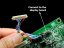 Kabel DF19-20P 1ch 6bit LVDS 250mm