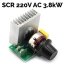 Regulátor otáček pro AC motory - SCR 220V/3.8kW