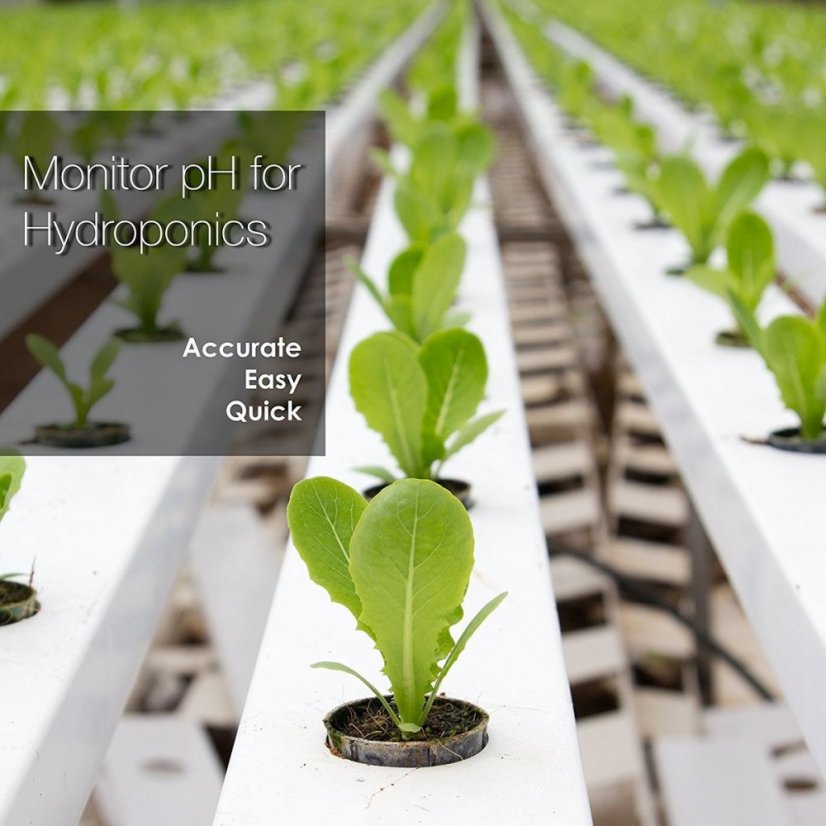 Professional pH Tester Apera PH20