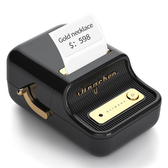 Niimbot B21 - Wireless Label Thermal Printer
