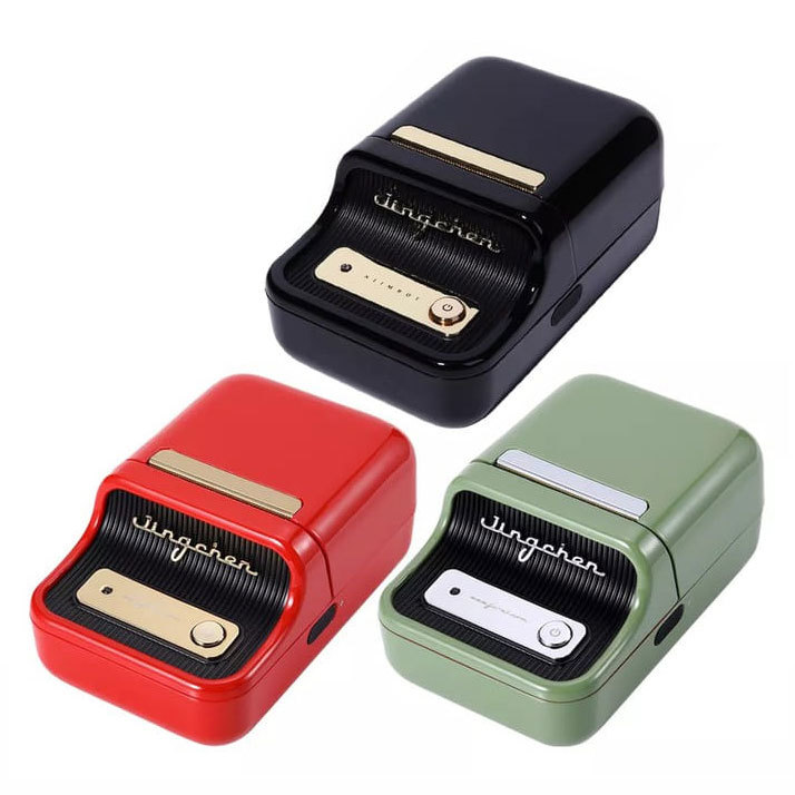 Niimbot B21 - Wireless Label Thermal Printer