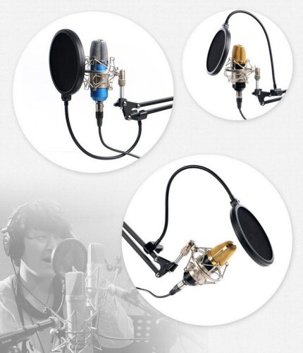 Profesionální mikrofonní pop filtr PS-2