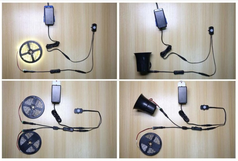 BS010 Infrared Motion Sensor 12V