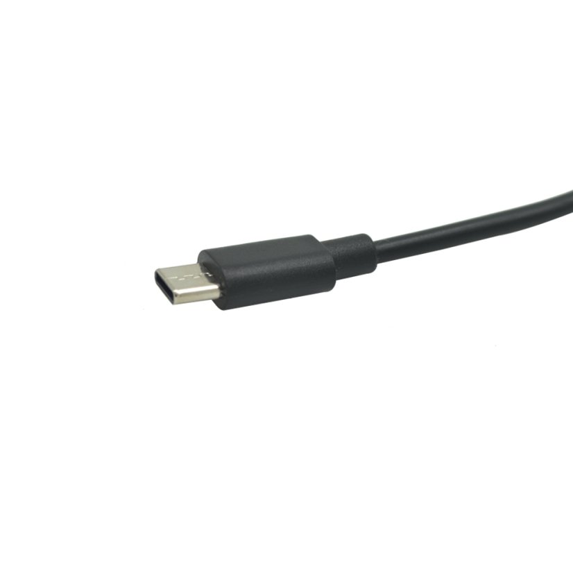 USB-C Cable - USB 2.0 A/M, Black, 25 cm