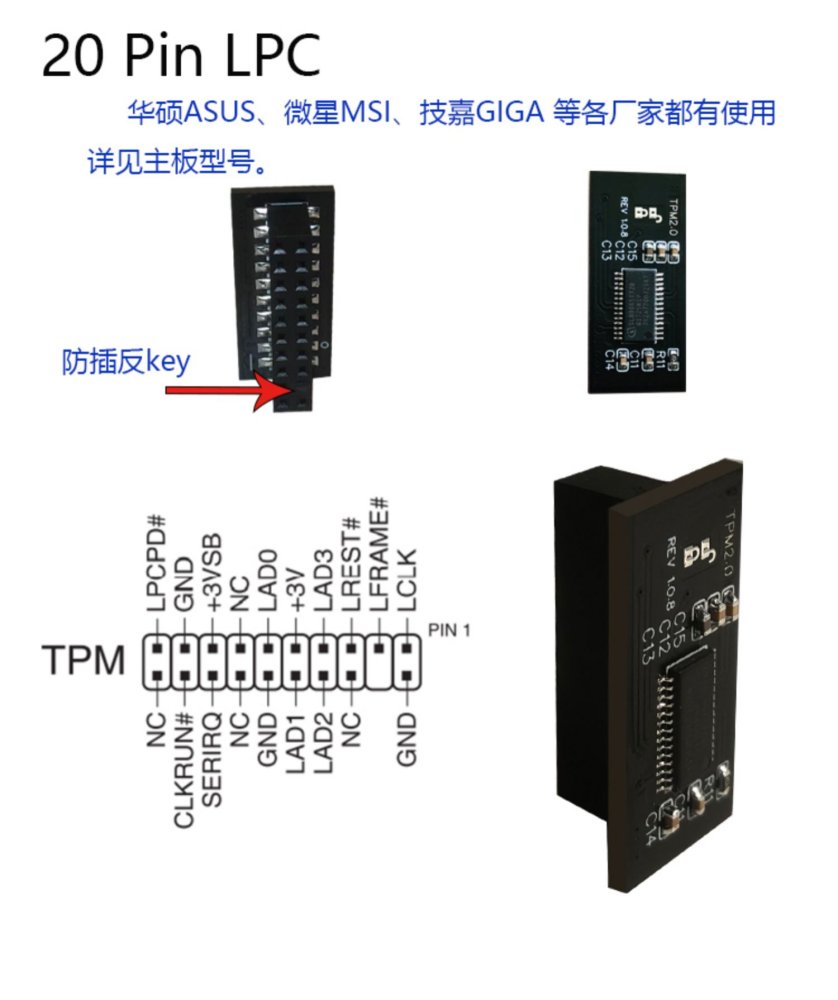 ASRock TPM 2.0 Modul