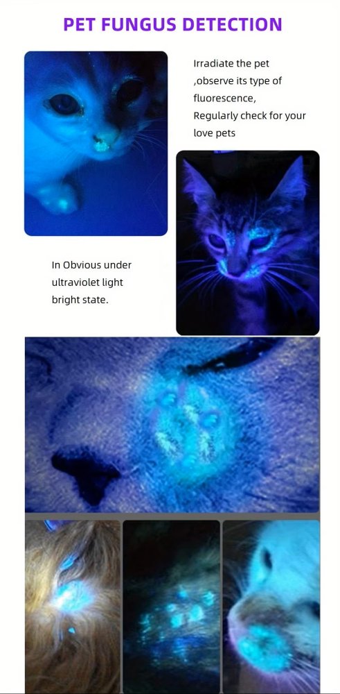 SV63 UV 60W Powerful Ultraviolet Flashlight